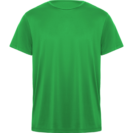 verde helecho