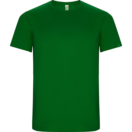 verde helecho