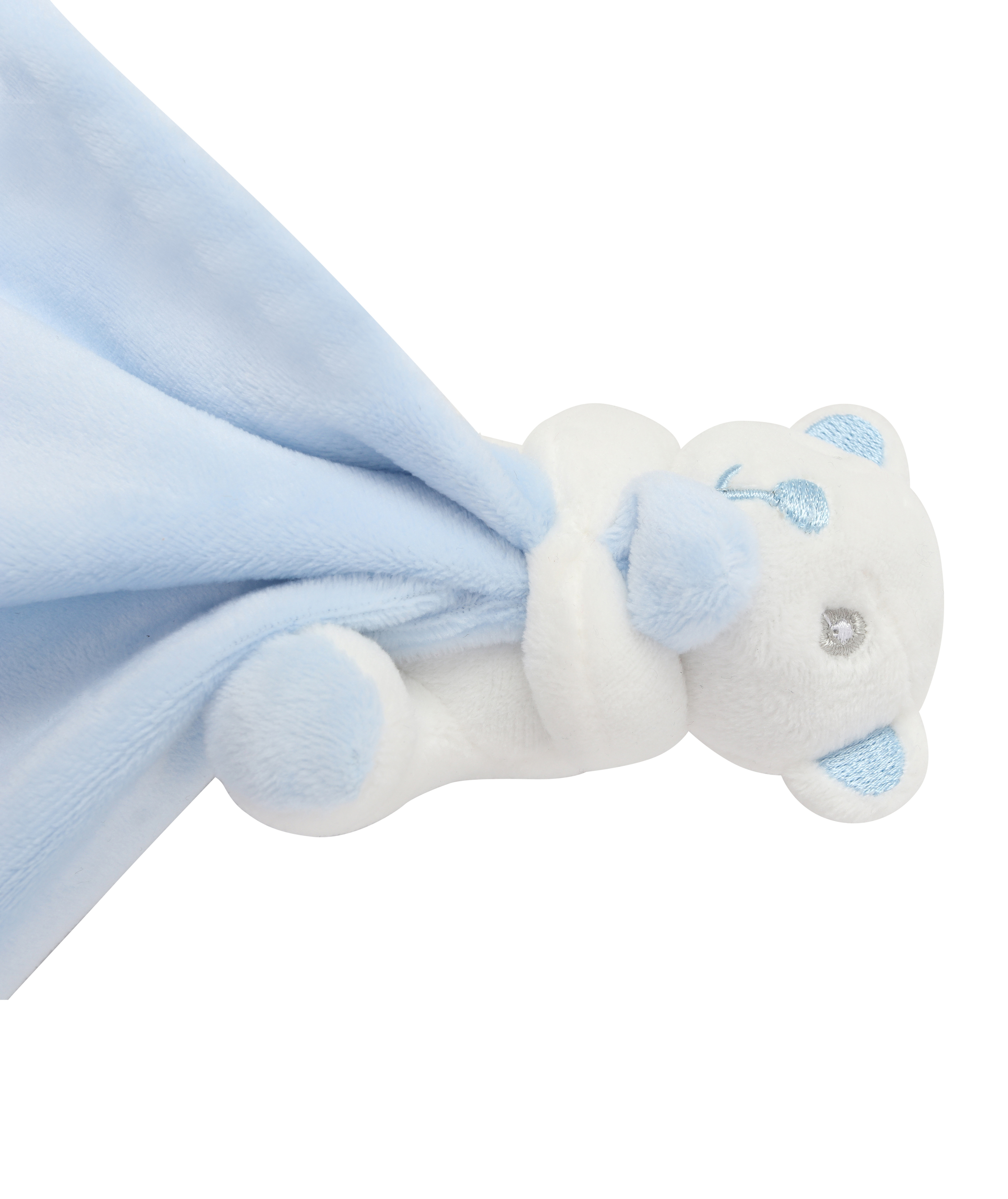 blue bear