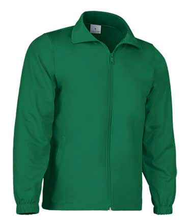 verde kelly