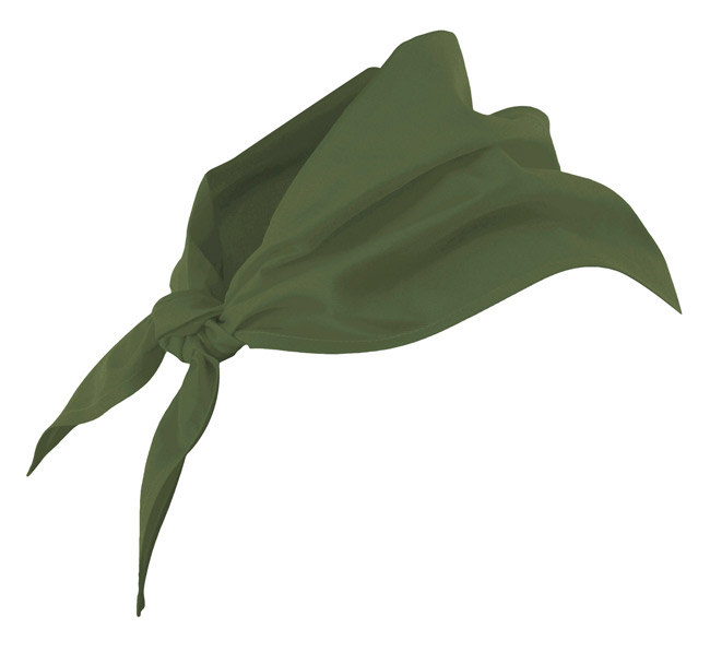 Verde Caza